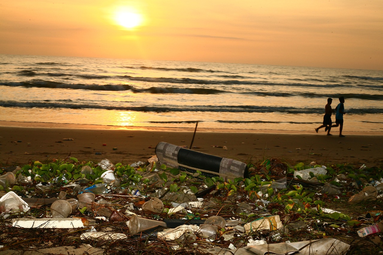 ocean, trash, beach, pollution, conservation, sunrise, seascape, plastic, garbage, nature, litter, sea, environment, waste, vietnam, muine, cleanup, damage, coastline, contamination, environmental, recycle, recycling, rubbish, sand, water, brown pollution